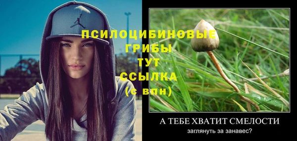 бошки Покров