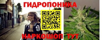не бодяженный Шелехов