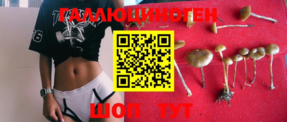 Азнакаево  Галлюциногенные грибы Psilocybine cubensis  Вход с VPN  Галлюциногенные грибы Cubensis 