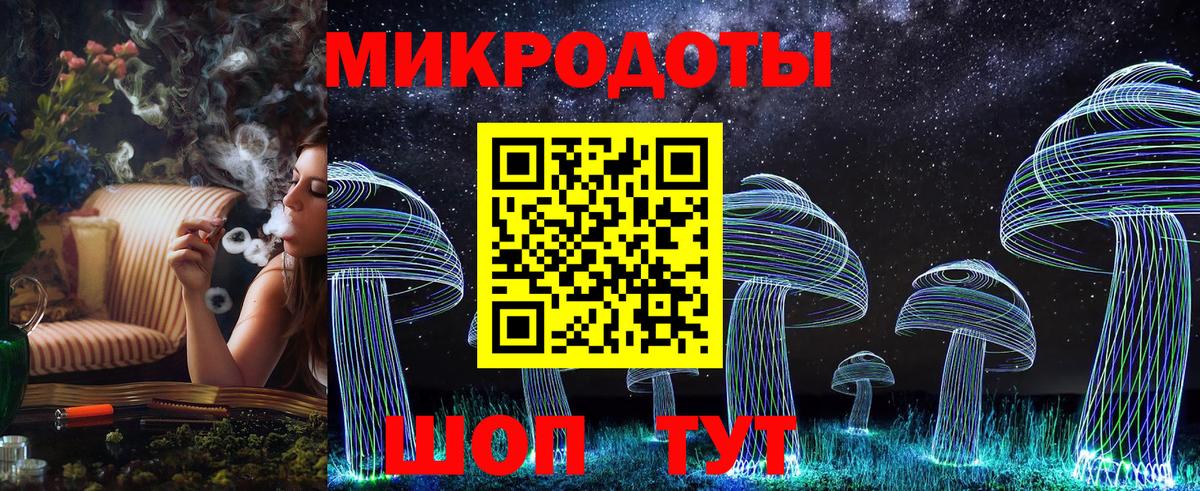 Псилоцибиновые грибы Psilocybine cubensis Азнакаево